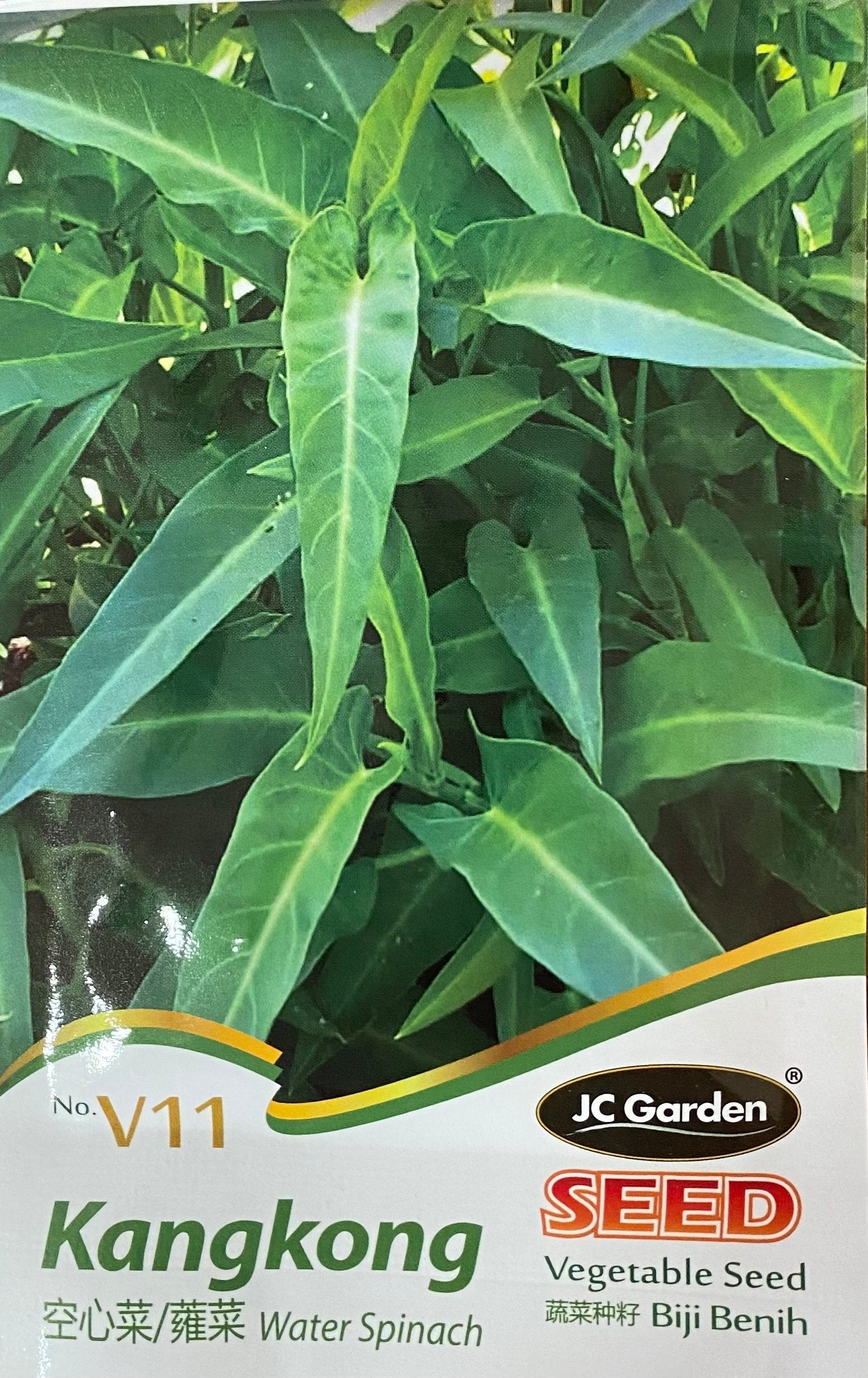 KangKong Water Spinach - Vegetable Seeds