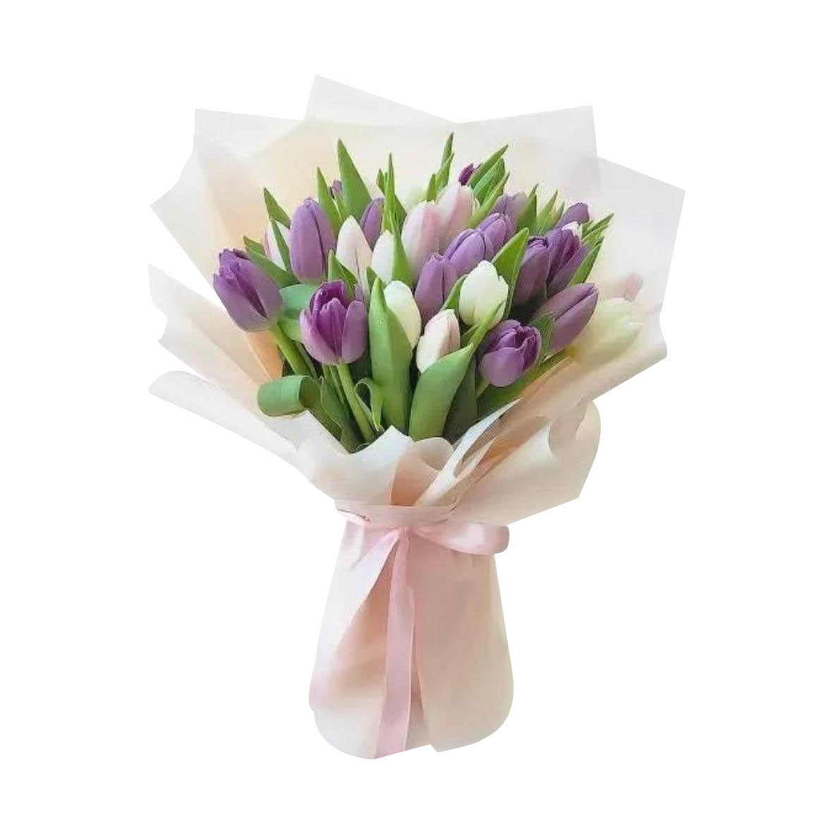 Lilac Serenade