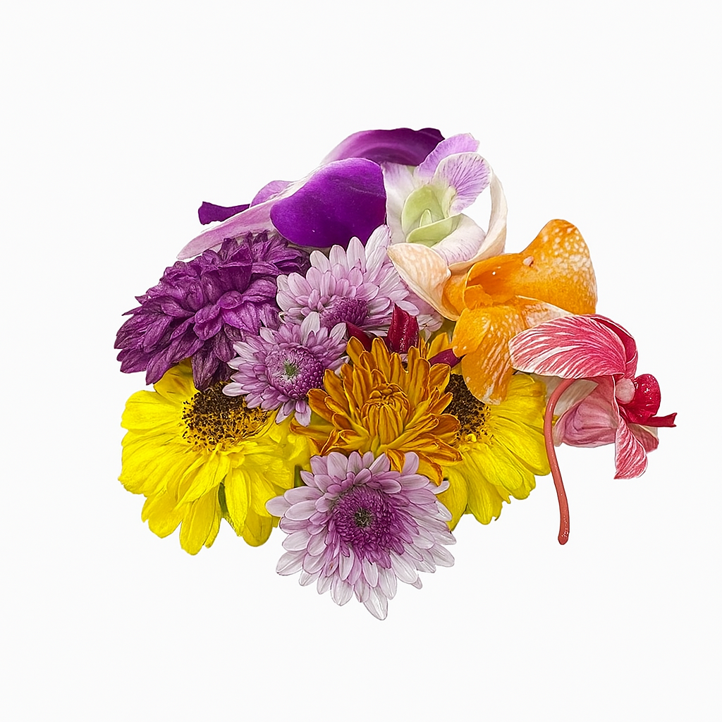 Mixed Chrysanthemum