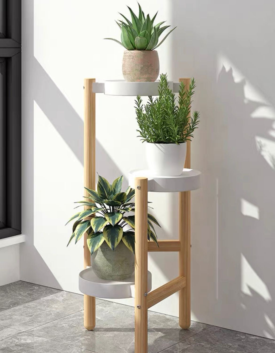 Multilayered Plant Display Rack
