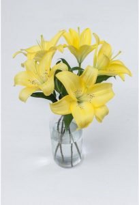Oriental Lily