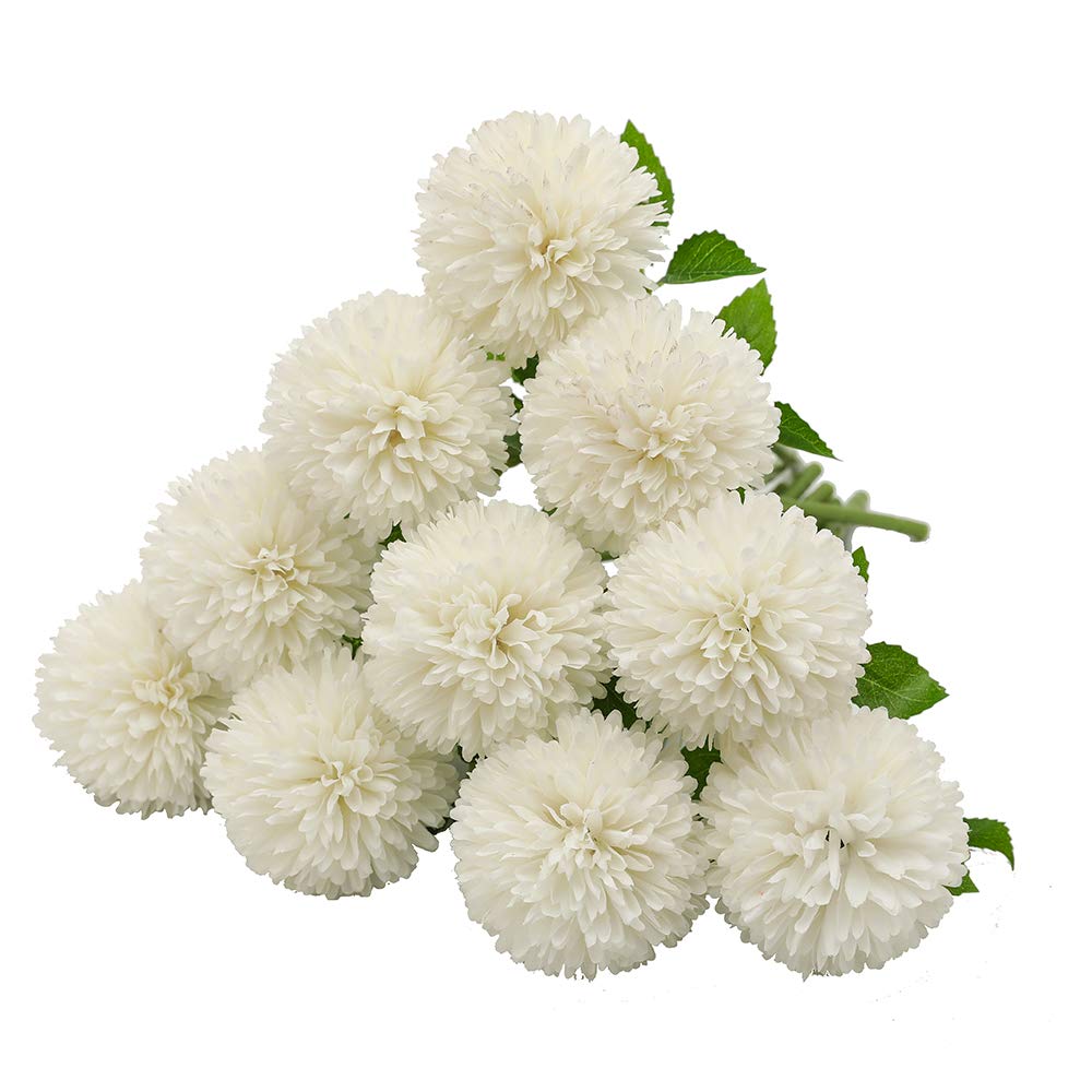 Ping Pong Chrysanthemum