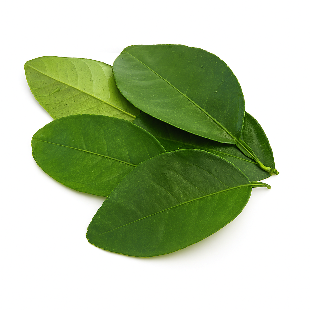 Pomelo Leaves