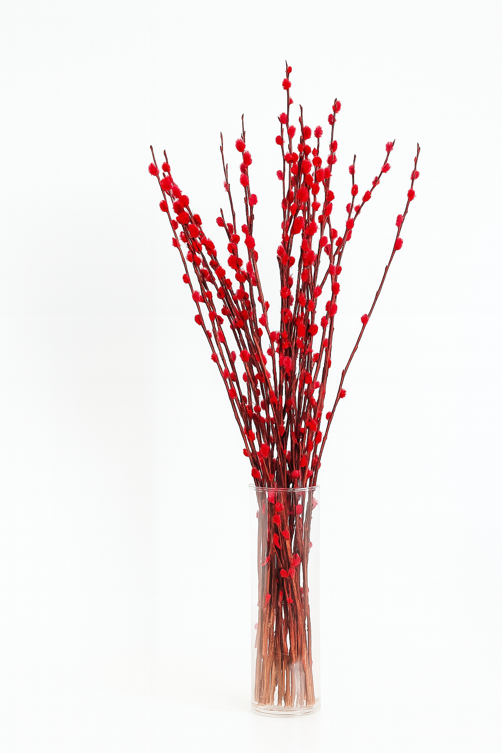 [Pre-Order] CNY Pussy Willow Single – 10 stems