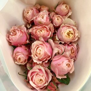 Rose Spray Garden Peach