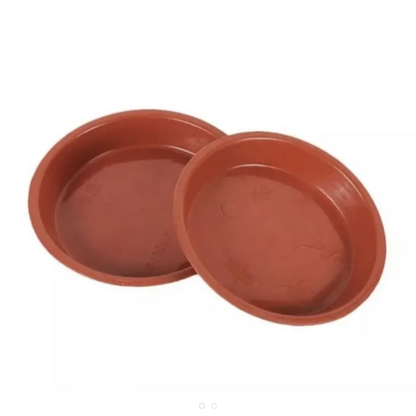 Saucer Tray