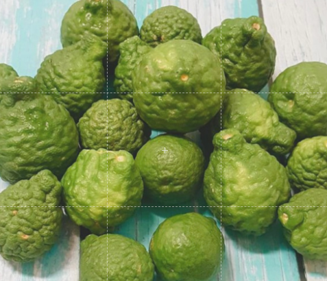 Thai Lemon Kaffir Lime (Bundle of 3)