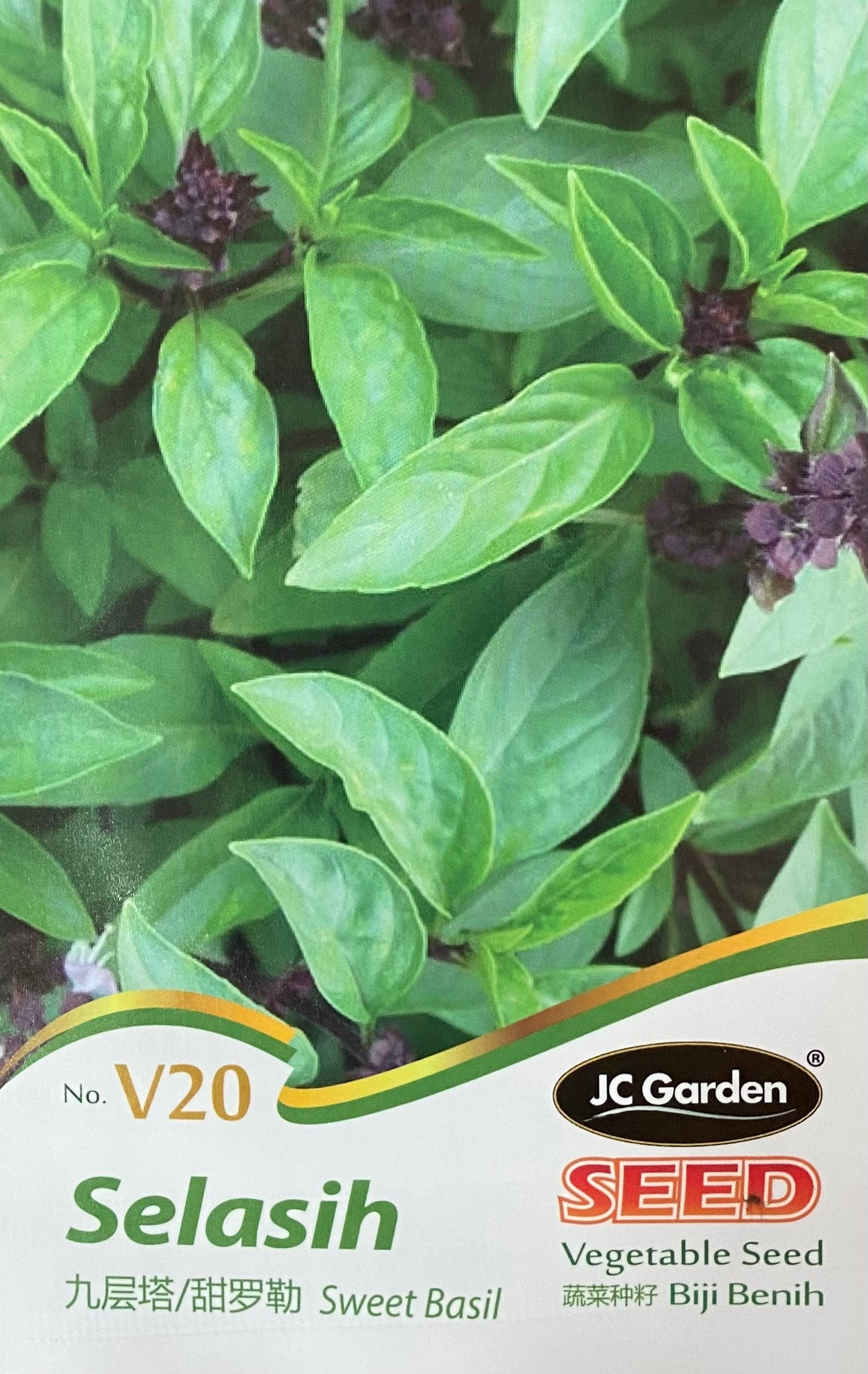 Sweet Basil – Vegetable Seeds