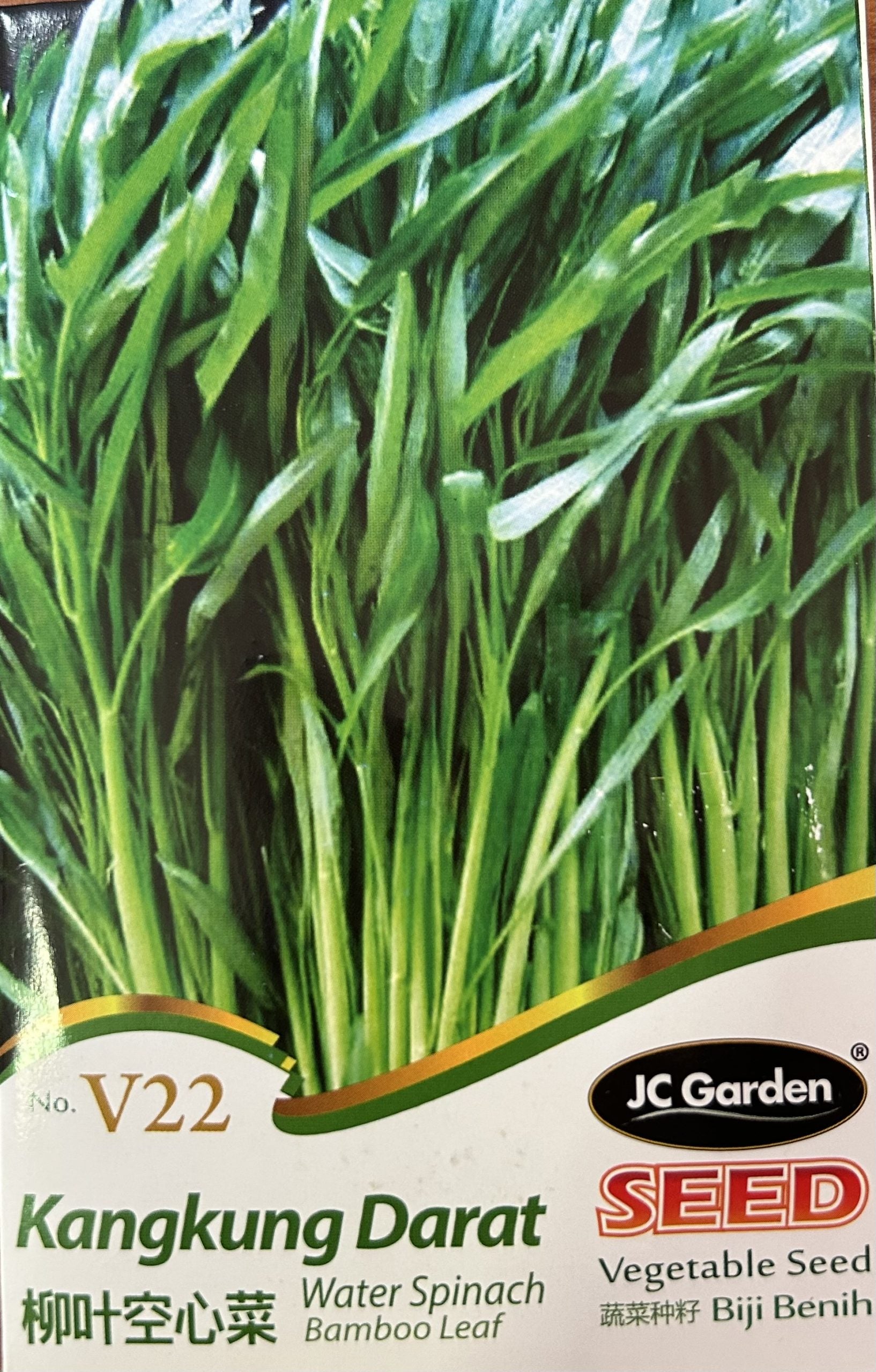Vegetable Seeds – Kangkung Darat Water Spinach Bamboo Leaf 柳叶空心菜
