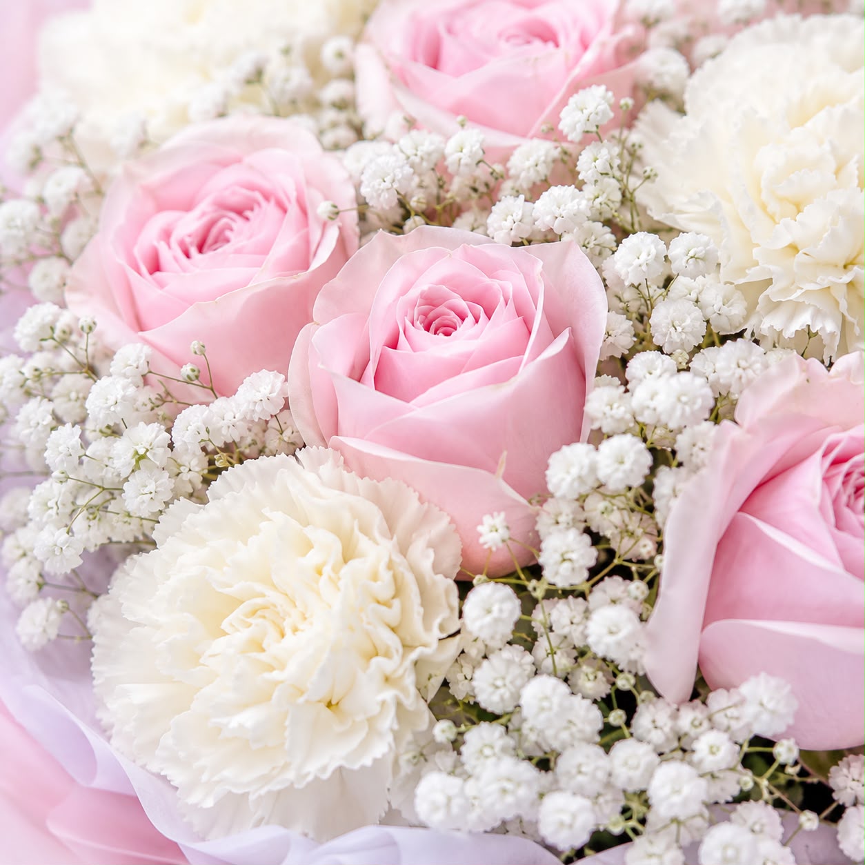 Pink Whisper (Roses, Baby's Breath) | Fresh Flower Bouquet