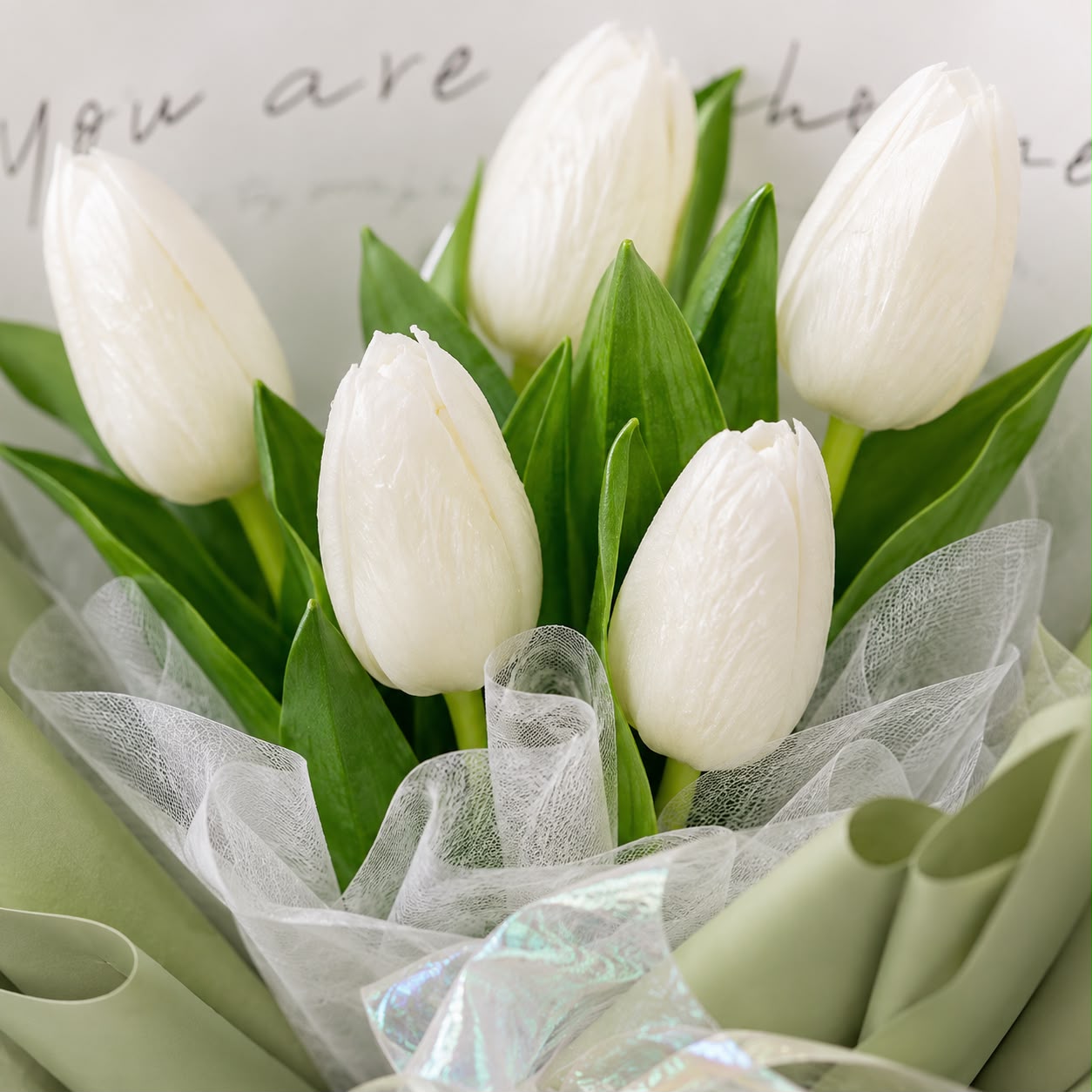 Pure Serenity (Tulips) | Tulip Bouquet
