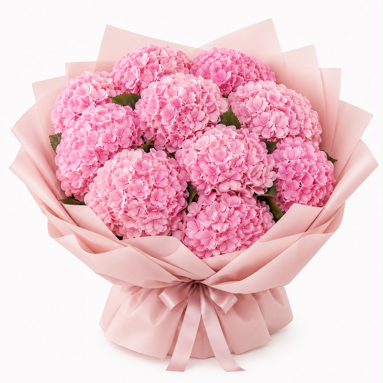 Blushing Pink Hydrangea – 10 Stalks | Fresh Flower Bouquet