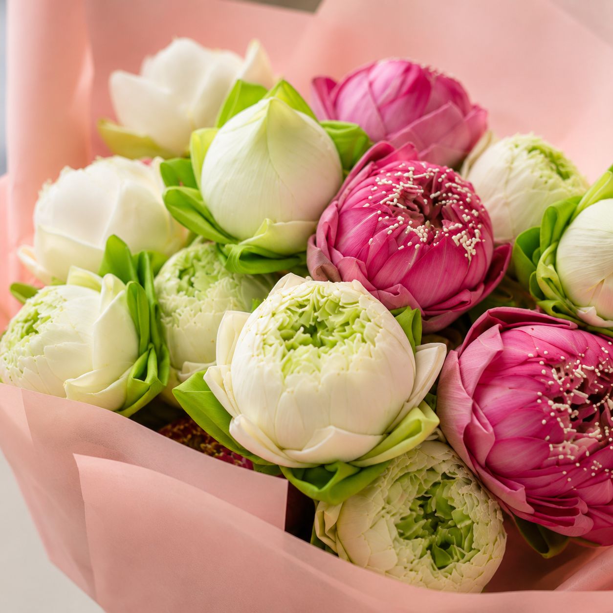 Softly in Bloom (Lotus Flower) | Fresh Lotus Bouquet
