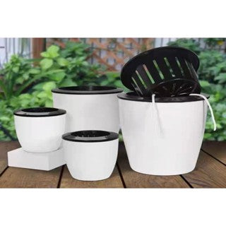 White Self-Watering Hydroponic Pot