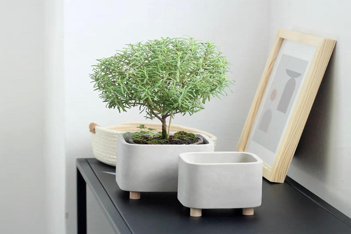 White Square Wood-Foot Pot