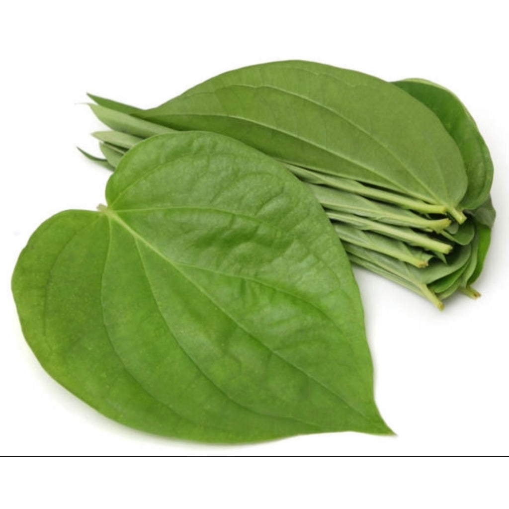 Sireh Betel Leaf