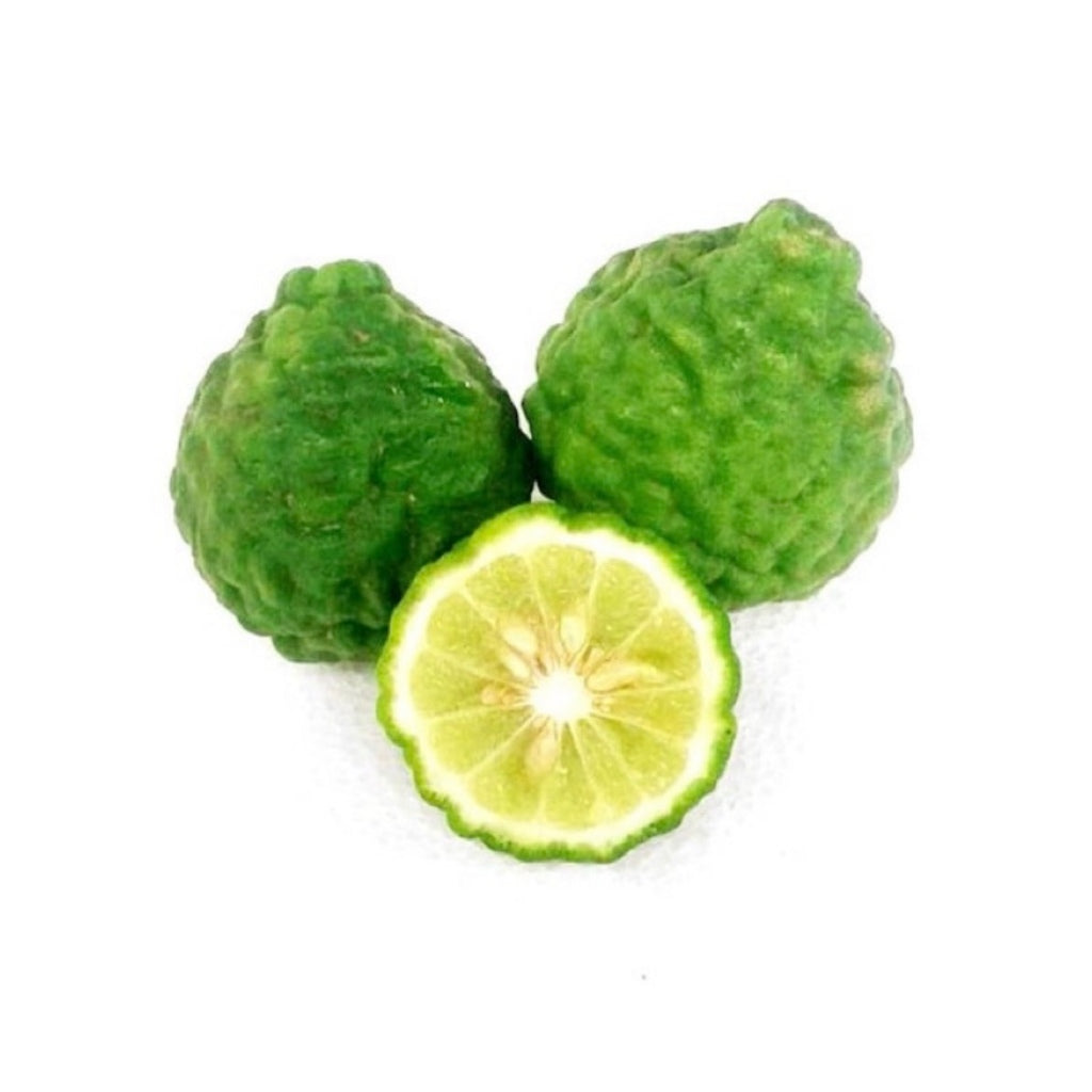Thai Lemon Kaffir Lime (Bundle of 3)